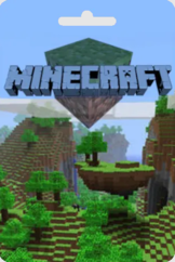 Minecraft USA